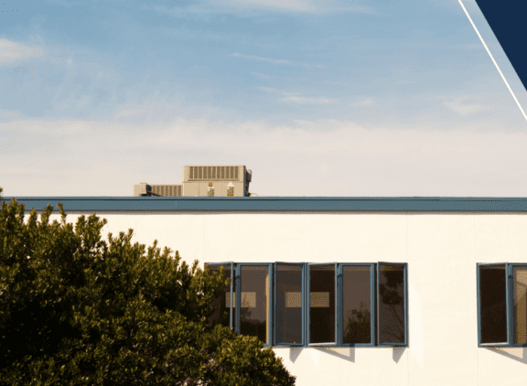 A building with a tree and bushes in the background.