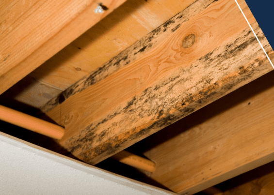 A close up of the wood floor in an attic