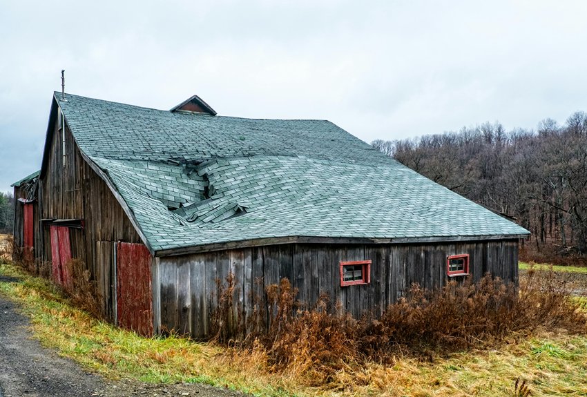 shingle damage from wind